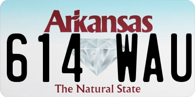 AR license plate 614WAU