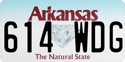 AR license plate 614WDG