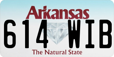 AR license plate 614WIB