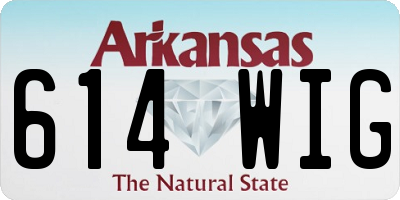 AR license plate 614WIG