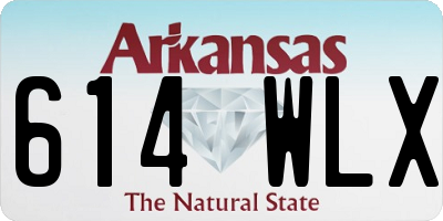 AR license plate 614WLX