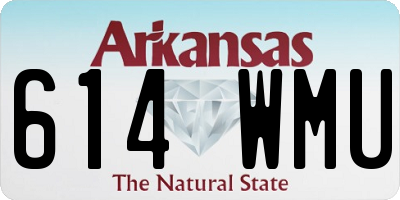 AR license plate 614WMU