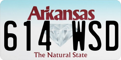 AR license plate 614WSD