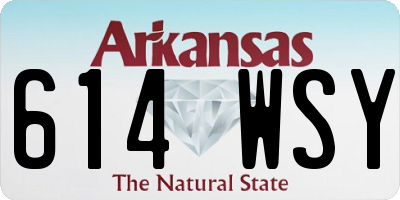 AR license plate 614WSY