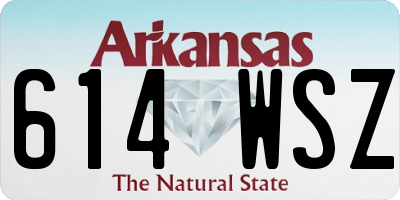 AR license plate 614WSZ