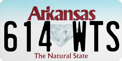 AR license plate 614WTS