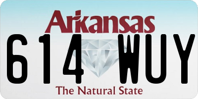 AR license plate 614WUY