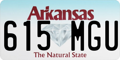 AR license plate 615MGU