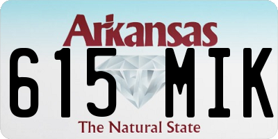 AR license plate 615MIK