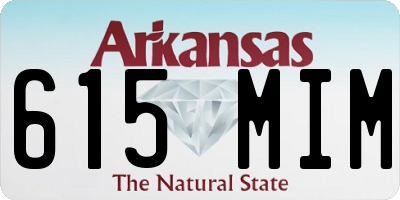 AR license plate 615MIM