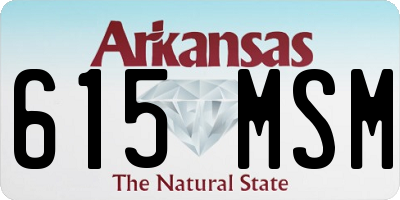 AR license plate 615MSM
