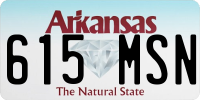 AR license plate 615MSN