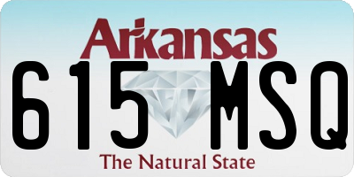 AR license plate 615MSQ