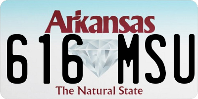 AR license plate 616MSU