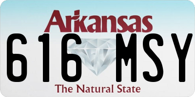 AR license plate 616MSY