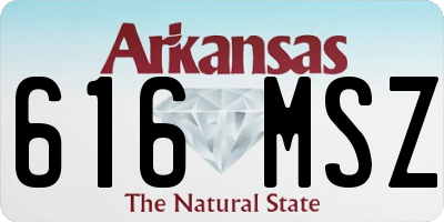AR license plate 616MSZ
