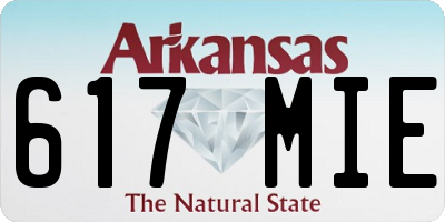 AR license plate 617MIE