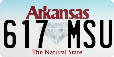 AR license plate 617MSU