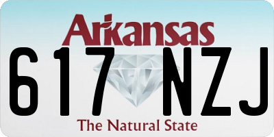 AR license plate 617NZJ