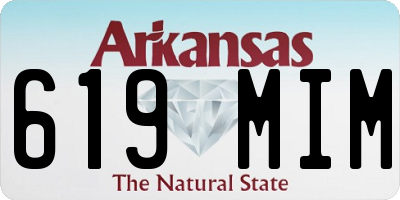 AR license plate 619MIM