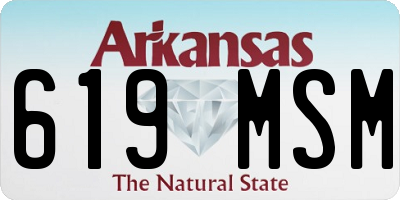 AR license plate 619MSM