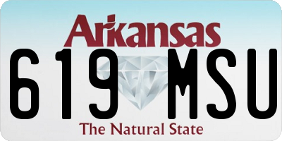 AR license plate 619MSU