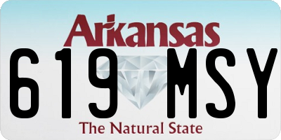 AR license plate 619MSY