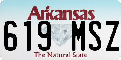 AR license plate 619MSZ