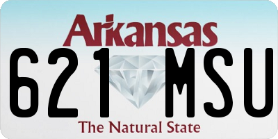 AR license plate 621MSU