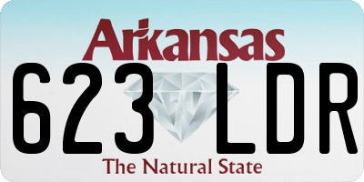 AR license plate 623LDR