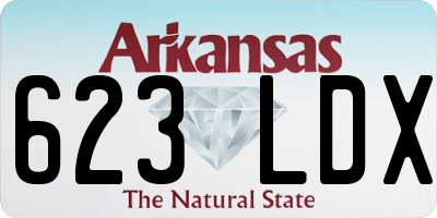 AR license plate 623LDX