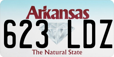 AR license plate 623LDZ