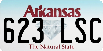 AR license plate 623LSC