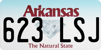 AR license plate 623LSJ