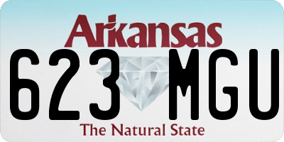 AR license plate 623MGU