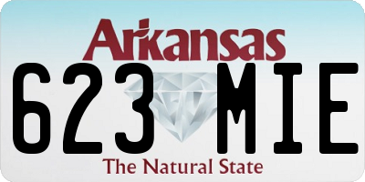 AR license plate 623MIE