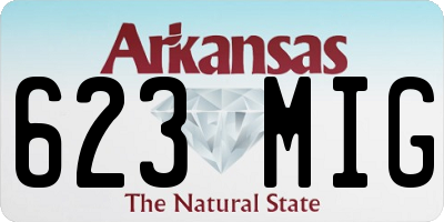 AR license plate 623MIG