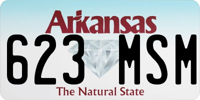 AR license plate 623MSM