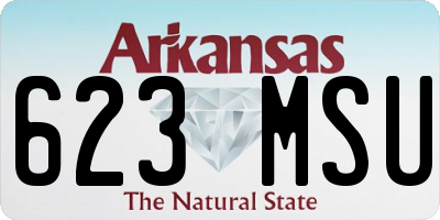 AR license plate 623MSU
