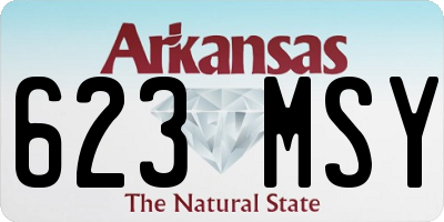 AR license plate 623MSY