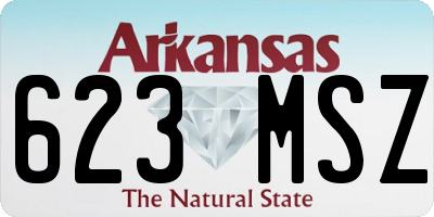 AR license plate 623MSZ