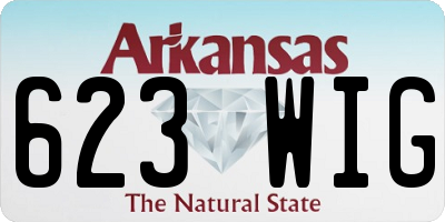 AR license plate 623WIG