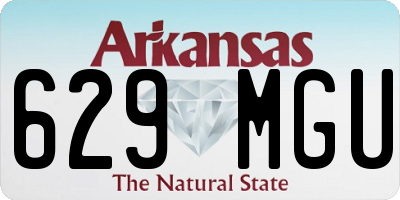 AR license plate 629MGU