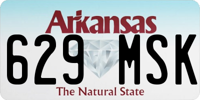 AR license plate 629MSK