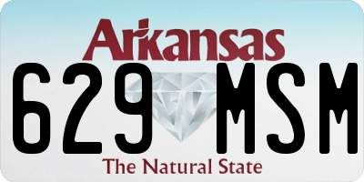 AR license plate 629MSM
