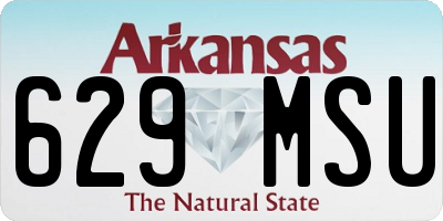 AR license plate 629MSU