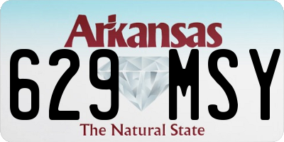 AR license plate 629MSY