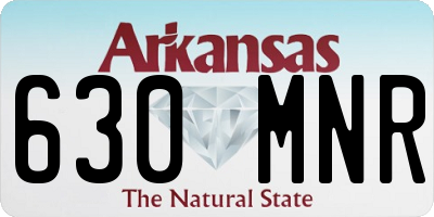 AR license plate 630MNR