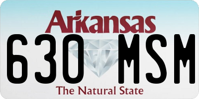 AR license plate 630MSM