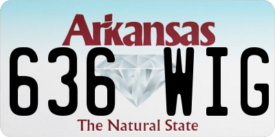 AR license plate 636WIG